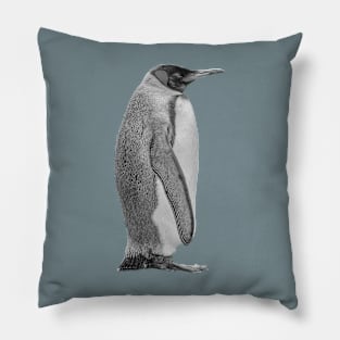 King Penguin in B&W Pillow