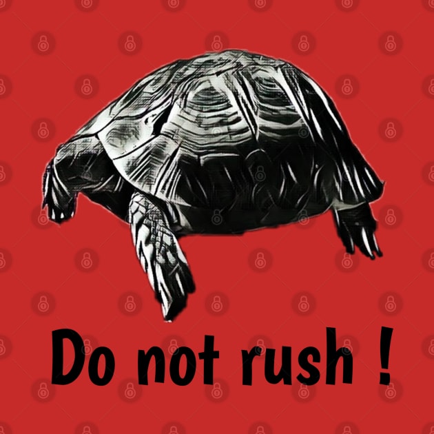 Do not rush by Ini