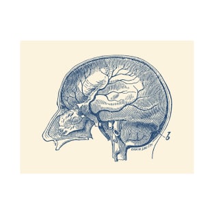 Brain Diagram Two - Anatomy T-Shirt