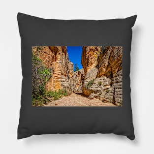 Lick Wash Trail Hike Pillow