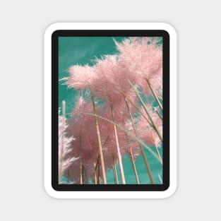 Pampas Grass Pink Wall Art Magnet