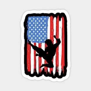 American Flag Kung Fu Graphic Magnet