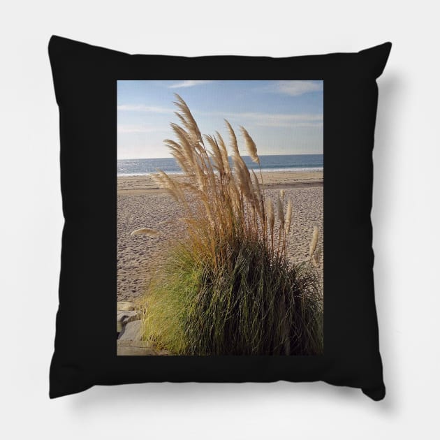 Dana Point Grasses Pillow by bobmeyers