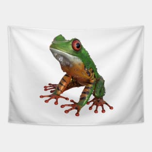 Frog/Red-Eyed Amazon Tree Frog Tapestry