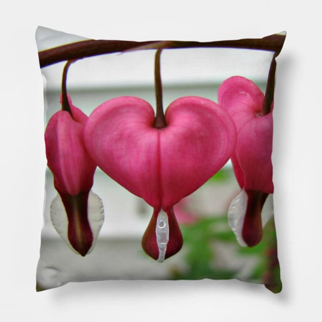 Bleeding Hearts Pillow by ARTWORKandBEYOND