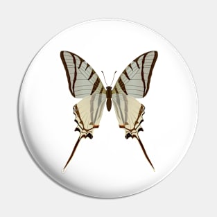 beautiful butterfly Pin