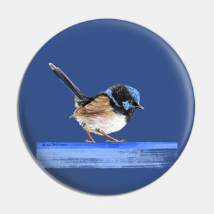 Little King of the Fairies - Blue Wren - male Superb Fairy-Wren illustration Pin