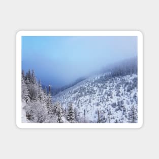 Snowy Mountains Magnet