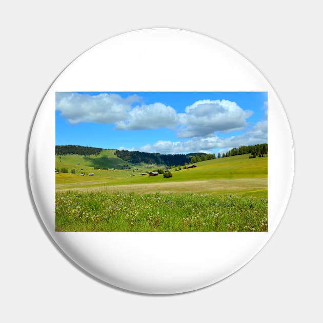 Alpine meadows Pin by annalisa56