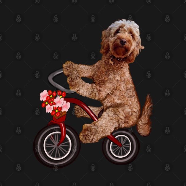 Cavapoo puppy dog on a tricycle bicycle - cavalier King Charles spaniel poodle cycling. puppy love by Artonmytee