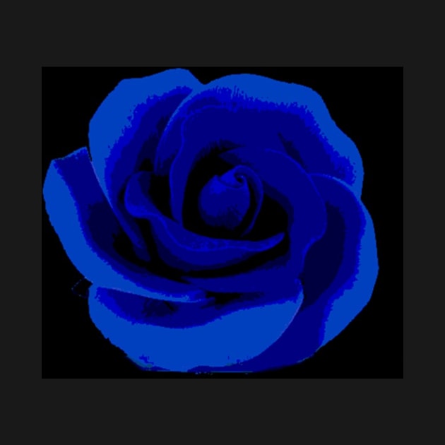 blue rose by Daniel Boone