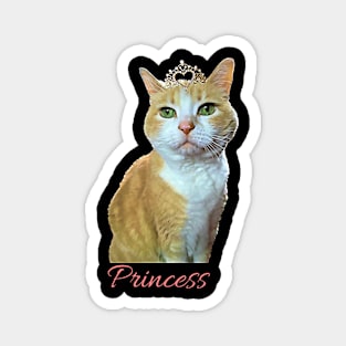 PrincessKitty Magnet