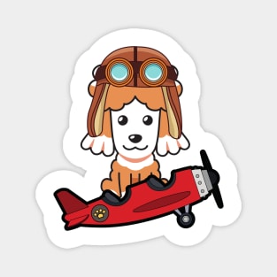 Cute poodle is in a vintage plane Magnet