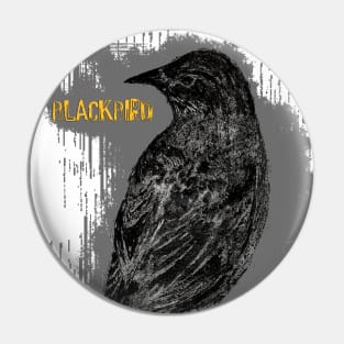 Blackbird singing... Pin