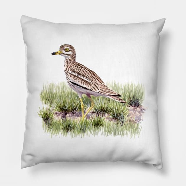 Eurasian Thick-knee Pillow by kokayart