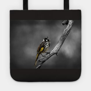 New Holland Honeyeater_20345A Tote