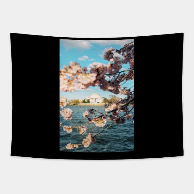 Jefferson Memorial 4 Tapestry by igjustin