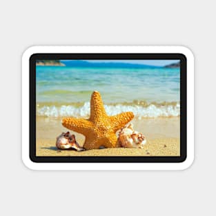 Starfish & shells Magnet