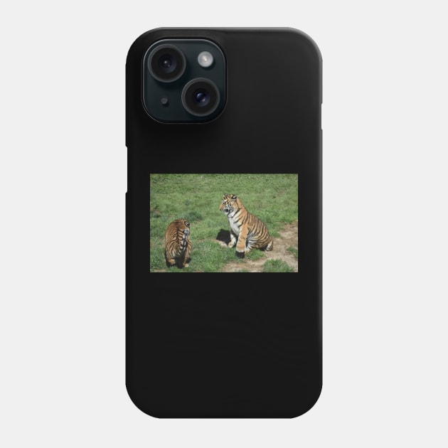 Tiger Cubs Phone Case by MarieDarcy