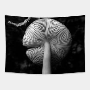 Fungus and Friends in Black and White Tapestry