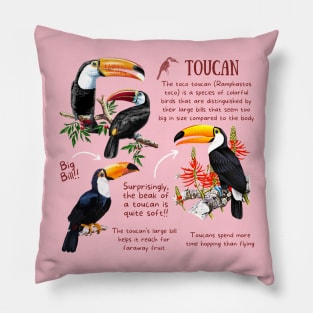 Animal Facts - Toucan Pillow