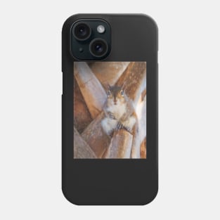 Staring Squirrel Phone Case