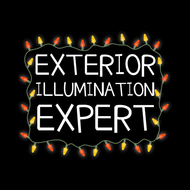 Exterior Illumination Expert Funny Christmas Lights by JustPick