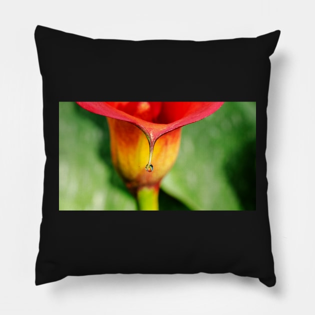 "The Drop" Pillow by Bevlyn