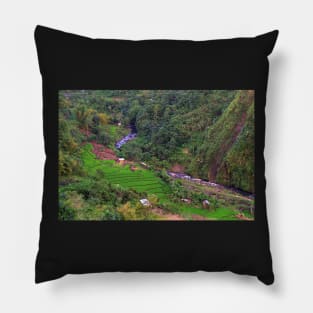 rice field in the valley Pillow