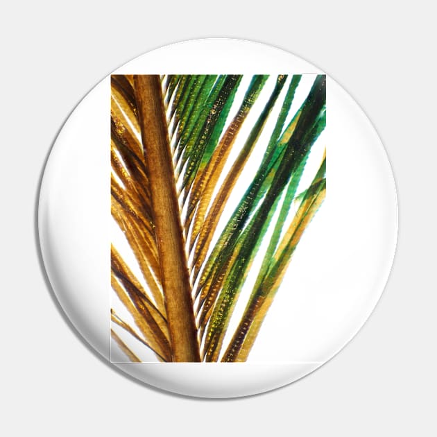 Peacock feather under the microscope Pin by SDym Photography