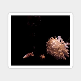 Wine, Shells, and Petals - Baroque Inspired Dark Still Life Photo Magnet