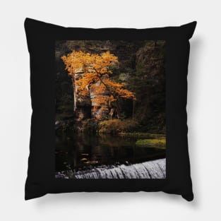 Bohemian Switzerland: Scenic Landscape Photography #4 Pillow