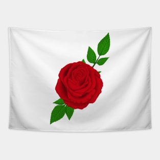 Red Rose Colored Tapestry