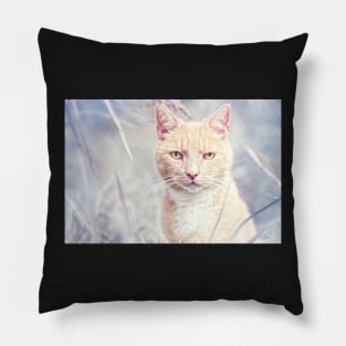 Red Tomcat Pillow