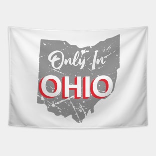 Funny Ohio Meme Tapestry