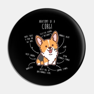 Red Headed Tri Corgi Dog Anatomy Pin