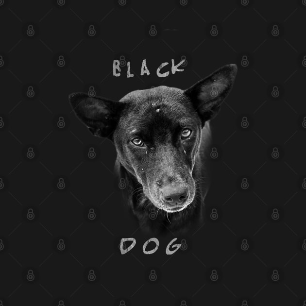 Black Dog by alienartfx