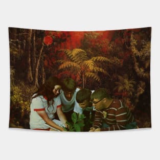 The Discovery Tapestry