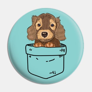 Dachshund puppy in your pocket Pin