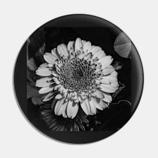 Monochrome Beauty Pin