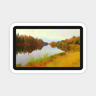 Androscoggin River 13 Mile Woods Magnet