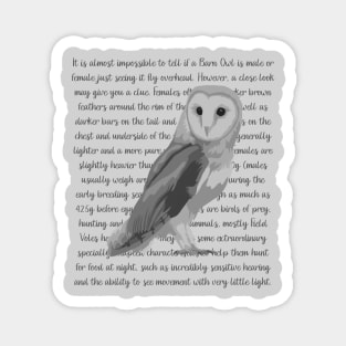 Barn Owl Information Magnet