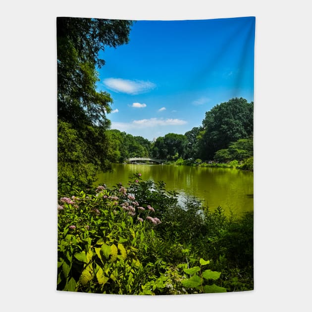 Central Park Lake Bridge Manhattan NYC Tapestry by eleonoraingrid