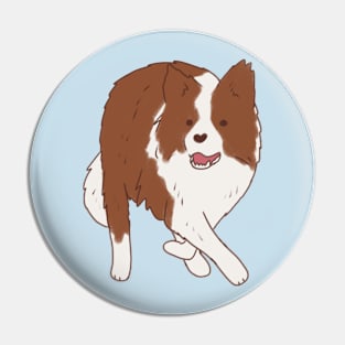 Brown border collie Pin