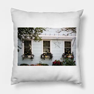 Window With Flowers Pillow