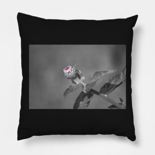 Flower Opening Pillow