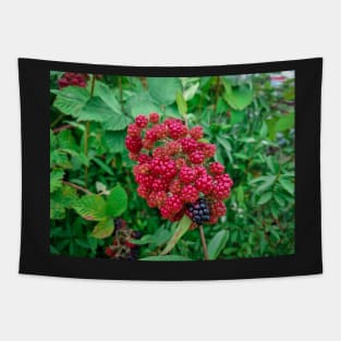 Wild Blackberries Tapestry