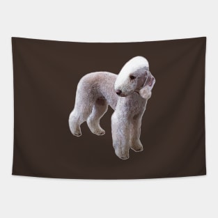 Bedlington Terrier Tapestry