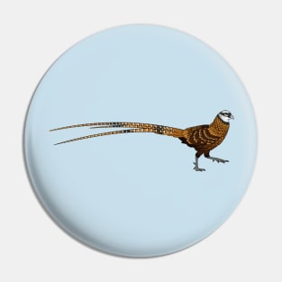 Reeves's pheasant bird cartoon illustration Pin