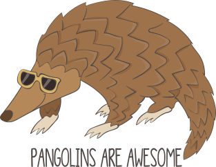 Pangolins Are Awesome Magnet